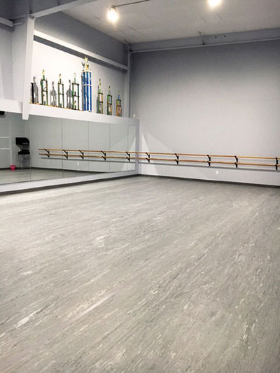 professional dance studios in LA